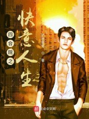 四合院之快意人生 封面
