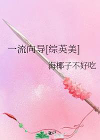 一流向导[综英美] 封面