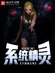 系统精灵才是真主角 封面