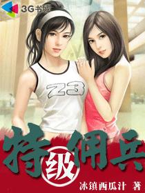 特级佣兵 封面