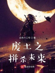 废土之拼杀未来 封面
