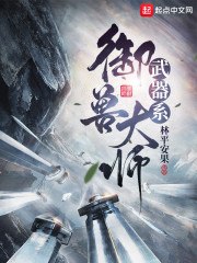 武器系御兽大师 封面