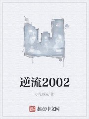 除夕夜离婚 封面