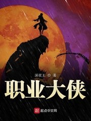 职业大侠 封面