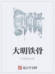 大明铁骨 封面