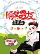 隔壁男友是总裁 封面