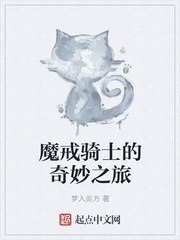 魔戒骑士的奇妙之旅 封面