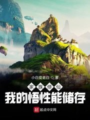家族我的悟性能存储 封面