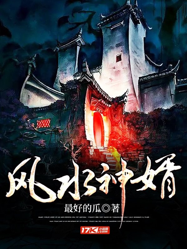风水神婿 封面
