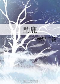 酌鹿 封面