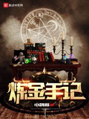 炼金手记 封面