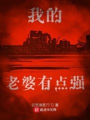 我的老婆有点强 封面