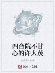 四合院不甘心的许大茂 封面