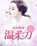 谢你赠我温柔刀 封面