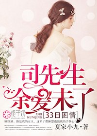 33日困情：司先生，余爱未了顾以婳司夜瑾 封面