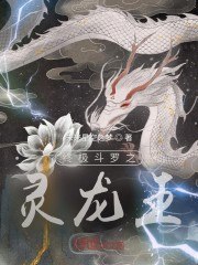 终极斗罗之灵龙王 封面