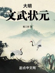 大明:文武状元 封面
