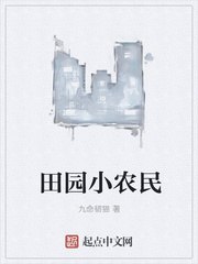 田园小农民 封面