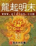 龙起明末 封面