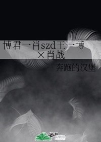 博君一肖szd王一博肖战 封面