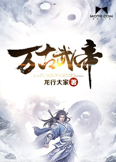 万古武帝 封面