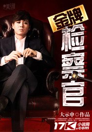 金牌检察官 封面