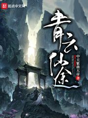 青云仙途 封面