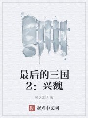 最后的三国2兴魏 封面