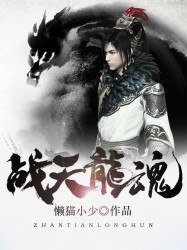 战天龙魂 封面