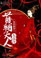 首辅大人太高冷 封面