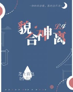 貌合神离 封面
