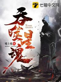 吞噬星魂 封面
