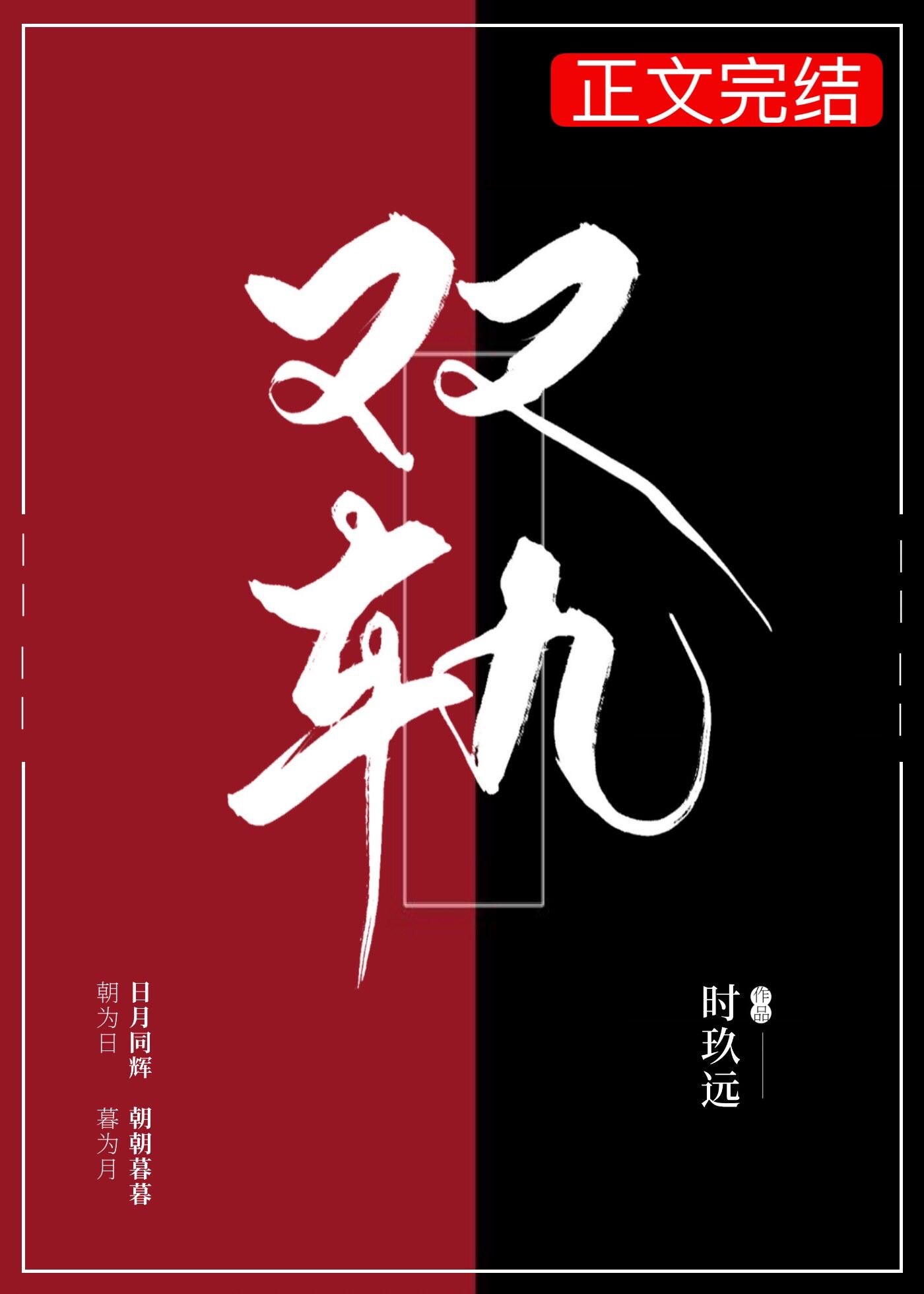 双轨 封面