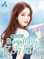 一纸婚约:BOSS的亿万甜宠 封面