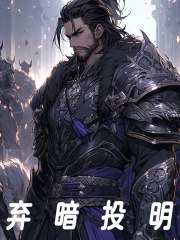 弃暗投明 封面