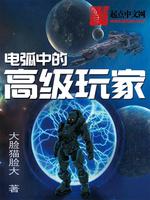 电弧中的高级玩家 封面