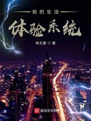 我的生活体验系统 封面