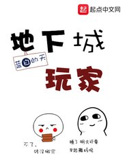 地下城玩家 封面