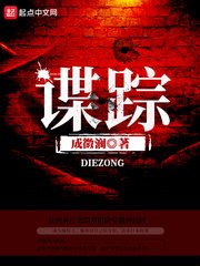 谍踪 封面