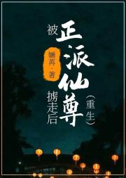 被正派仙尊掳走后(重生) 封面