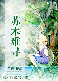 苏木难寻 封面