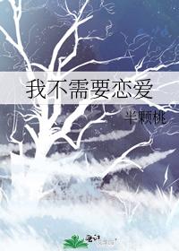 我不需要恋爱 封面