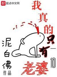 我真的只有一个老婆 封面