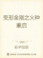 变形金刚之火种重启 封面