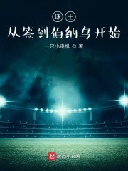 球王从签到伯纳乌开始 封面