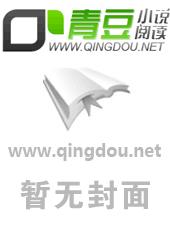 寡妇村的野史野村韵事 封面