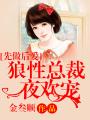 先做后爱:狼性总裁夜欢宠 封面