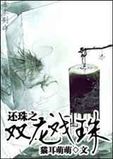 还珠之双龙戏珠 封面