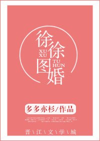 徐徐图婚 封面
