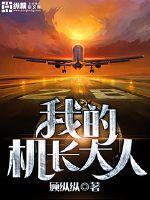 我的机长大人 封面